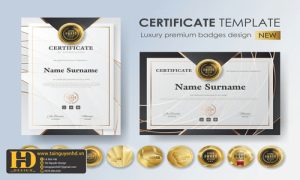 Giấy Chứng Nhận, Bằng Khen, Certificate (192)