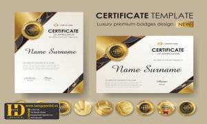 Giấy Chứng Nhận, Bằng Khen, Certificate (193)