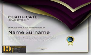 Giấy Chứng Nhận, Bằng Khen, Certificate (209)