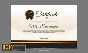 Giấy Chứng Nhận, Bằng Khen, Certificate (228)