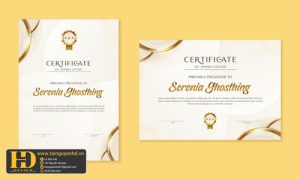 Giấy Chứng Nhận, Bằng Khen, Certificate (27)