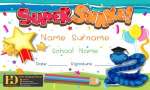 Giấy Chứng Nhận, Bằng Khen, Certificate (32)