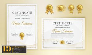 Giấy Chứng Nhận, Bằng Khen, Certificate (49)