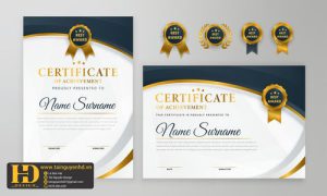 Giấy Chứng Nhận, Bằng Khen, Certificate (50)