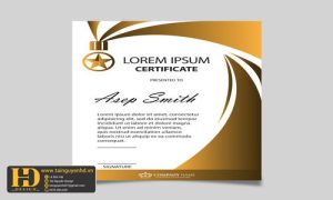 Giấy Chứng Nhận, Bằng Khen, Certificate (60)