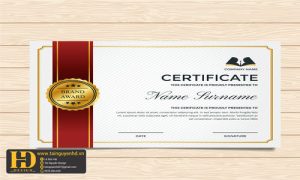 Giấy Chứng Nhận, Bằng Khen, Certificate (63)