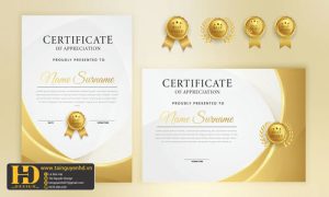 Giấy Chứng Nhận, Bằng Khen, Certificate (89)