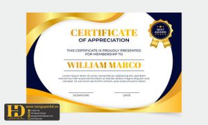 Giấy Chứng Nhận, Bằng Khen, Certificate (91)