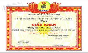 Giấy Khen Công Đoàn Cơ Sở