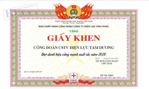 Giấy Khen Công Đoàn Điện Lực