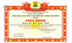 Giấy Khen Công Ty Cây Trồng