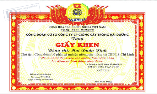 Giấy Khen Công Ty Cây Trồng