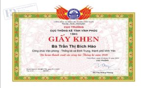 Giấy Khen Cục Thống Kê 1