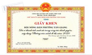 Giấy Khen UBND Phường 1