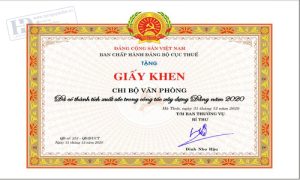 Giấy Khen ban Chấp Hành Đảng 1