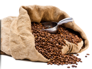 Hạt Cà Phê PNG (19)