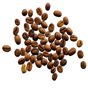 Hạt Cà Phê PNG (22)