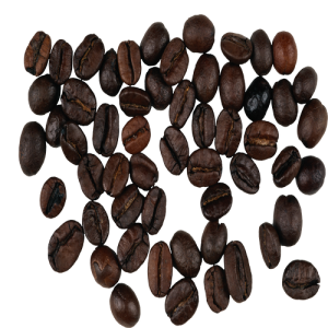 Hạt Cà Phê PNG (26)
