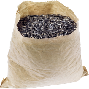 Hạt Hướng Dương PNG (1)