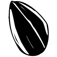 Hạt Hướng Dương PNG (12)