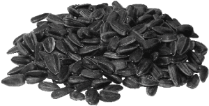 Hạt Hướng Dương PNG (13)