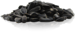 Hạt Hướng Dương PNG (17)