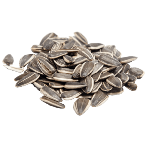 Hạt Hướng Dương PNG (23)