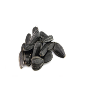 Hạt Hướng Dương PNG (25)