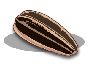 Hạt Hướng Dương PNG (35)