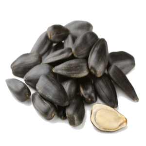 Hạt Hướng Dương PNG (6)