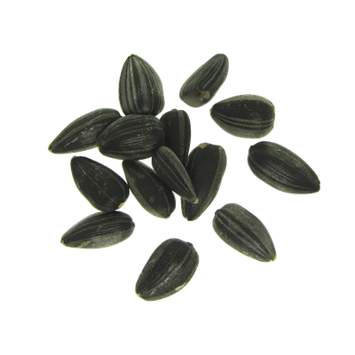 Hạt Hướng Dương PNG (9)