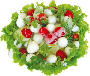 Hoa Quả Dầm - Fruit 3103 (69)