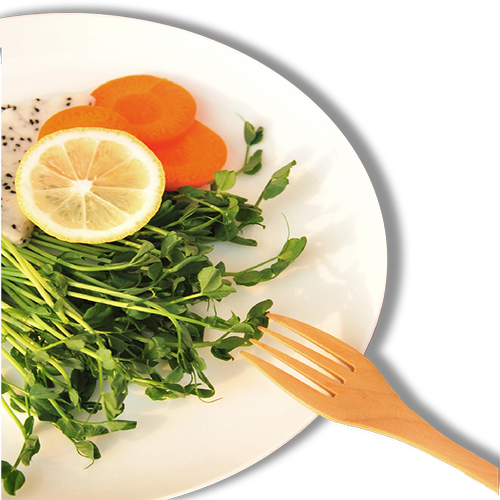 Hoa Quả Dầm - Fruit 3103 (79)