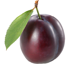 Mận Tím PNG (3)