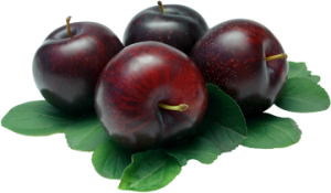 Mận Tím PNG (5)