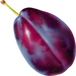 Mận Tím PNG (6)