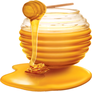 Mật Ong - Chai Mật Ong PNG (28)