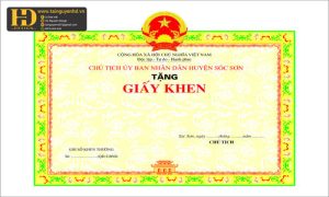 Mẫu Giấy Khen Đẹp (27)