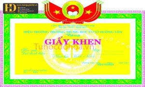 Mẫu Giấy Khen Đẹp (7)