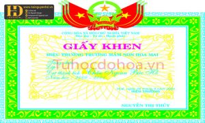 Mẫu Giấy Khen Đẹp (73)