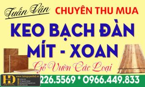 Mẫu Name Card Đẹp (20)