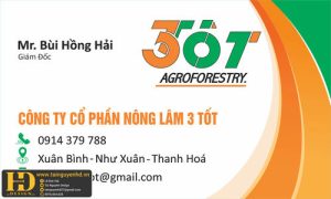 Mẫu Name Card Đẹp (3)
