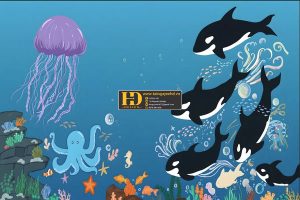 Mẫu Nền Chụp Ảnh Kỷ Yếu (10)