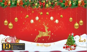 Mẫu Trang Trí Noel - Giáng Sinh (86)