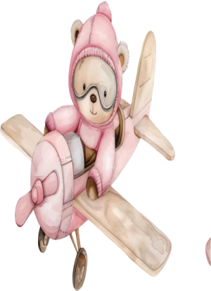 Máy Bay Hồng PNG (7)