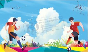 Nền Bóng Đá (3)