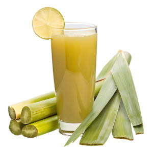 Nước Mía 3103 (6)