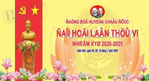 Phông Nền Sân Khấu Hội Nghị  (4)