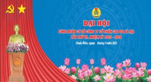 Phông Nền Sân Khấu Hội Nghị  (7)