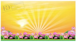 Phông Nền Vàng (2)